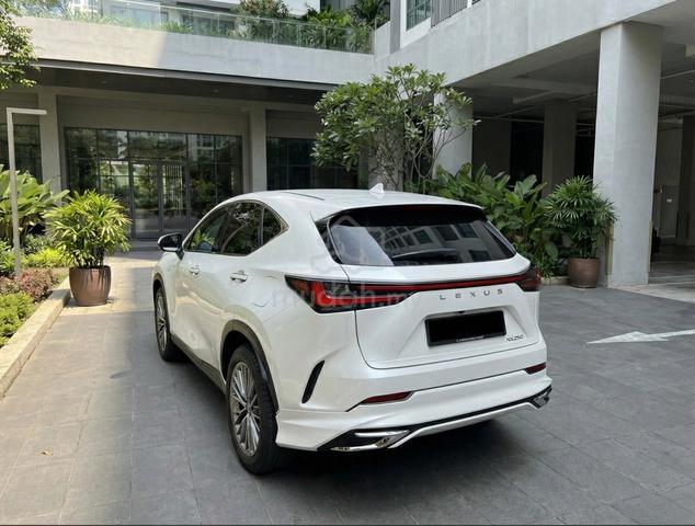 2022 Lexus NX 250 2.5 LUXURY (A) - 2