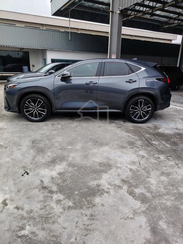 2022 Lexus NX250 2.5 LUXURY (A) - 5