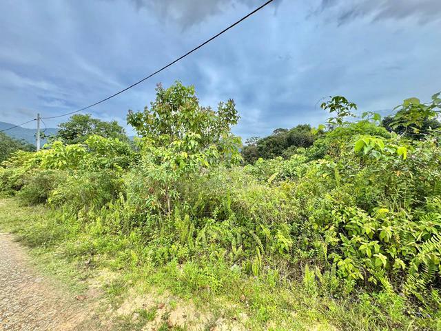 9,105 sqft - KG LUKUT, KOTA TINGGI / TANAH LOT KEDIAMAN / FREEHOLD 1