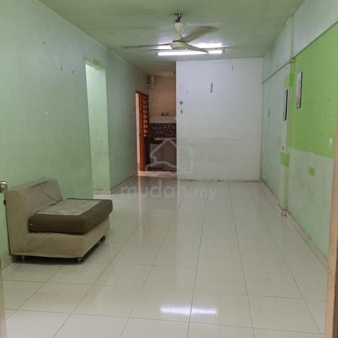 Jalan Bunga Daisi, Taman Plentong Utama 1