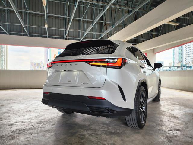 2023 Lexus NX250 2.5 VERSION-L (A) GRADE 4.5B - 2