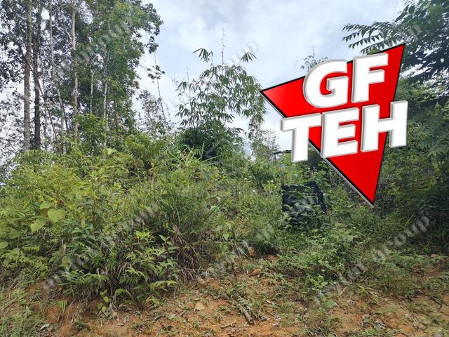 4.74 Acres Agricultural Land Mountain Pengkalan Hulu Perak Rm2.57psf k 5