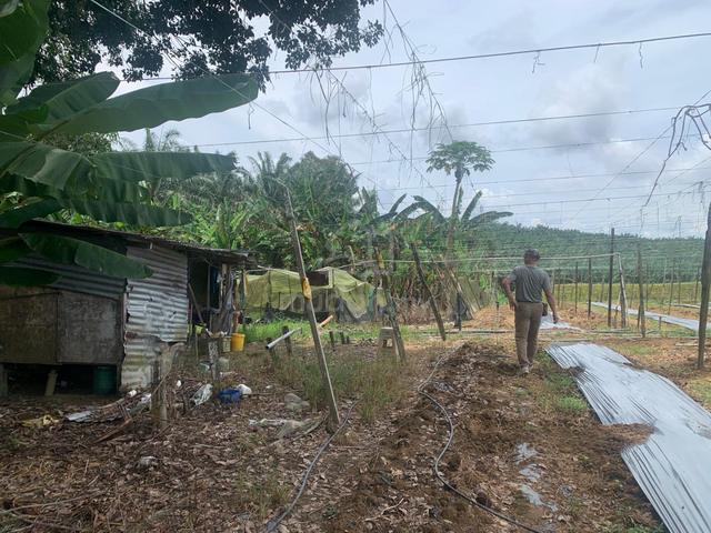 Land 8.5 Acres freehold / 15 minute from mainroad / Kulai Johor 1
