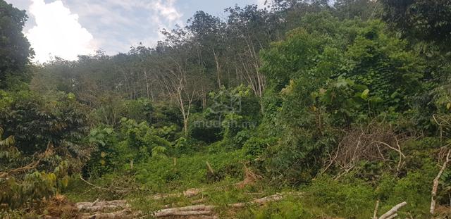 Tanah 2.83 Ekar Untuk Kediaman dan Pertanian Di Kuala Pilah 4