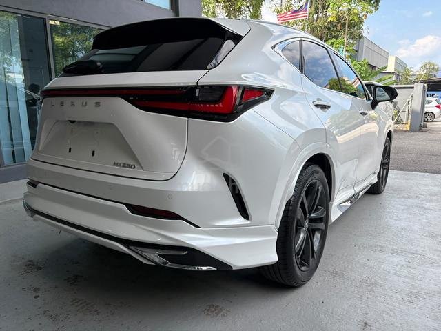 2024 Lexus NX250 2.5 VERSION L/MARK LEVINSON SOUND - 2