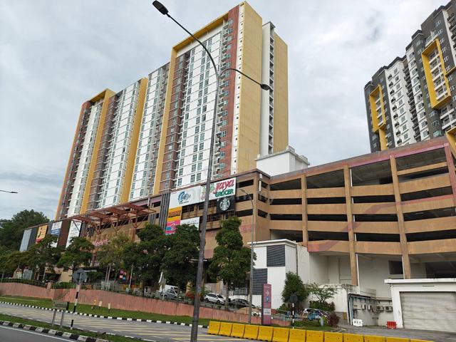 MesaHill 1