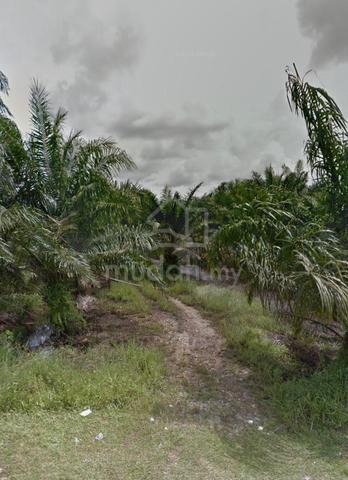 20.8Ekar‼ SEDILI BESAR Near Main Road - FREEHOLD For Sale‼️ 1