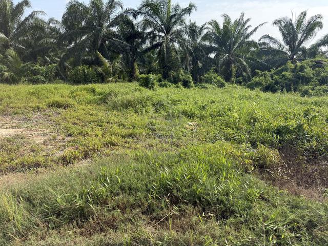 Lot FREEHOLD Jln LintangPantai Remis Jeram Utk diJual diJeram Selangor 1
