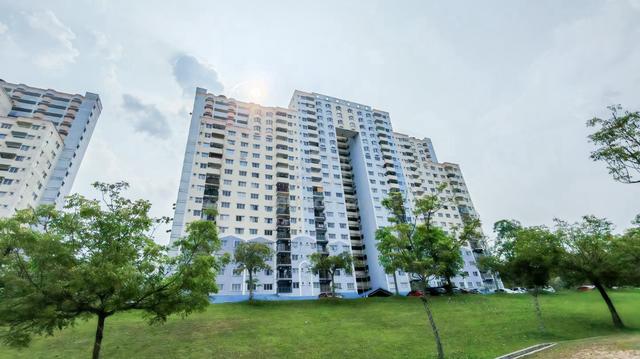 Taman Desaminium 1
