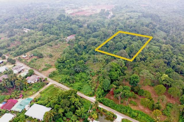 Freehold Open Title l Bebas Banjir l Tanah Pertanian Kg Padang 1