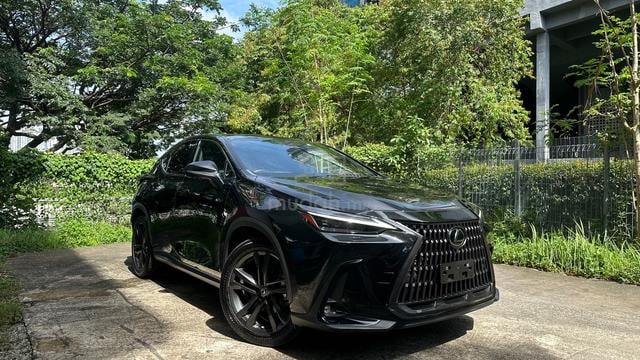 HuD BsM 2023 Lexus NX250 VERSION L LED LIGHTS - 1