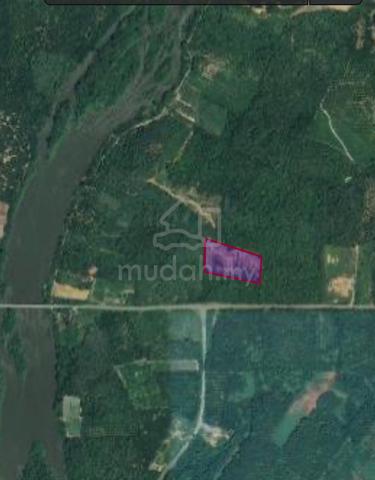 Tanah Pertanian tepi jalan Jambatan Sg Perak Bukit Sapi Lenggong 5