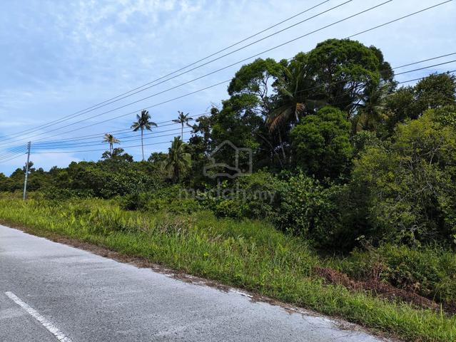 1st Lot Trombol Land Opposite Golden Beach Trombol For Sale 1
