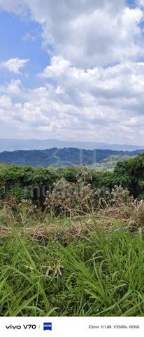 Tanah Berbukit tepi jalan raya 1