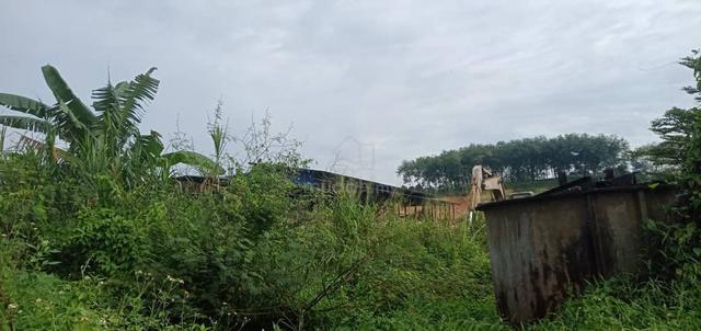 Tanah Pertanian Zoning Industri, Sg Lalang, Semenyih 1