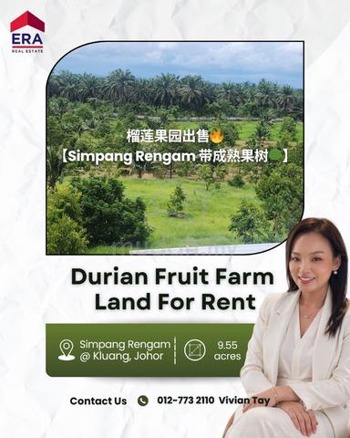 榴莲果园出售 Simpang Renggam Durian Fruit Farm Land For Sale 1