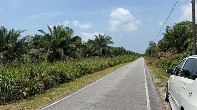 Pontian | Mukim Rimbai Terjun | Agriculture Land | 4.37 Acre 1