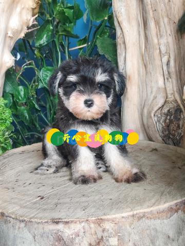 Carousel Image