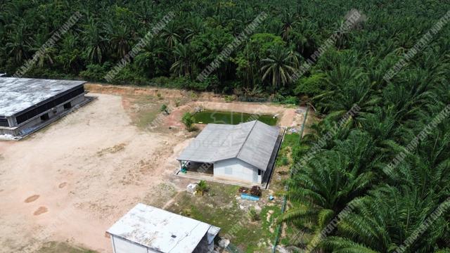 【FREEHOLD】Agriculture Land Jasin Rim Melaka Nice With Reserved Road 1