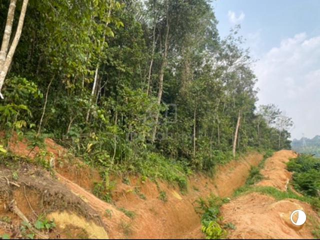 Tanah untuk di sewa di Escot Estate 1