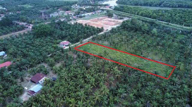 Tanah Pertanian Non Bumi 1.1 ekar Tg Karang, Kuala Selangor 1