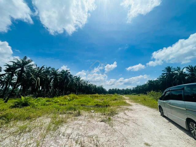 Kg Parit Mahang, Kuala Selangor, Tanah Lot Banglo, Sebelah puncak alam 1