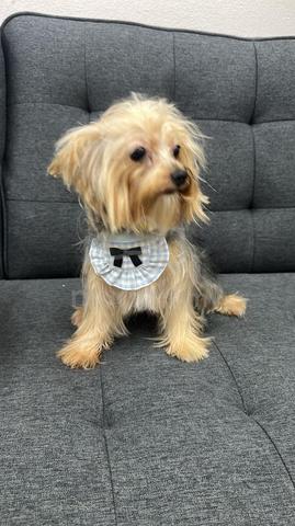 Carousel Image