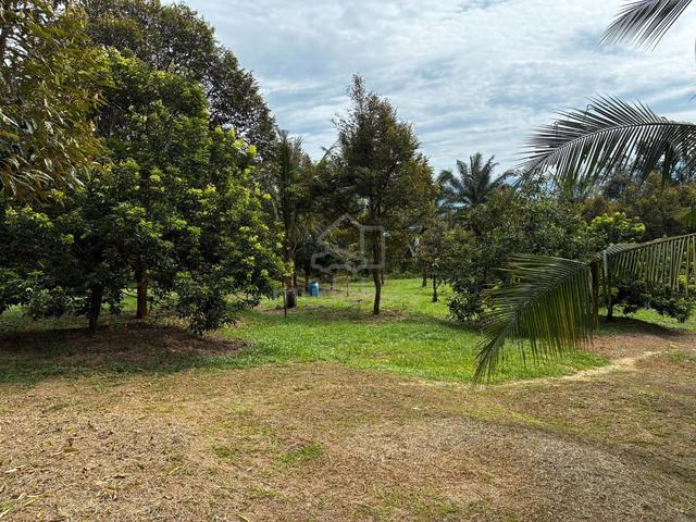 Freehold Orchard Farm Ulu Yam 1