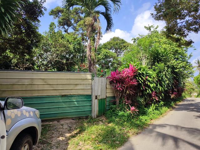 Farm Land for sale 1
