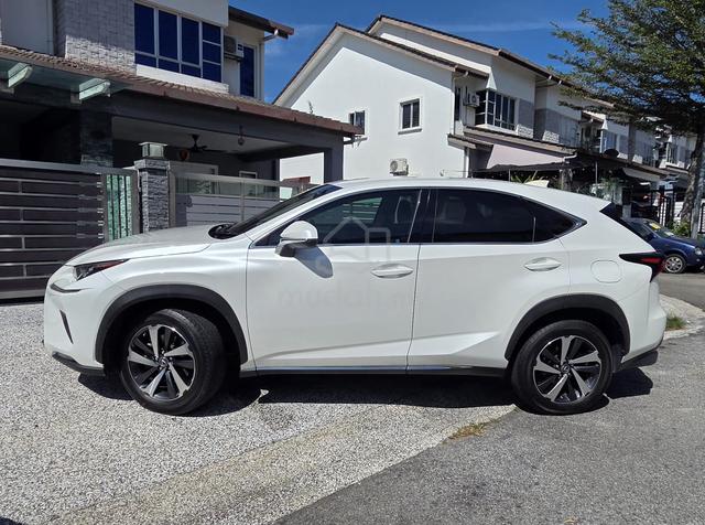 2020 Lexus NX300 2.0 URBAN MY15 (A) - 5