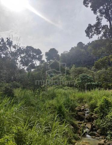 LOKASI STRATEGIK🤩DUSUN & AIR TERJUN✅Tanah Kg Relau, Bndr Baharu 5