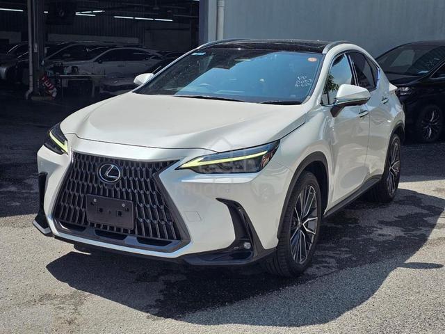 2022 Lexus NX250 LUXURY Panoramic Full Spec - 2