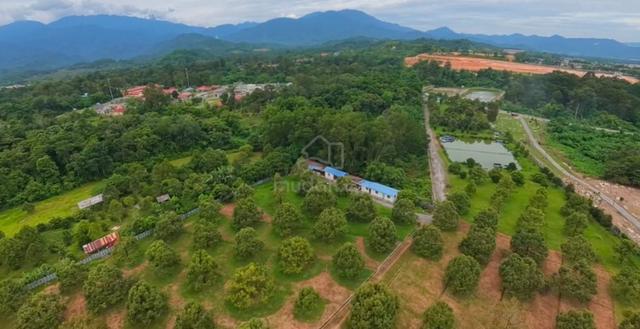 8 Ekar Dusun Musang King & Duri Hitam Tepi Jalan Utama – Batang Kali 1