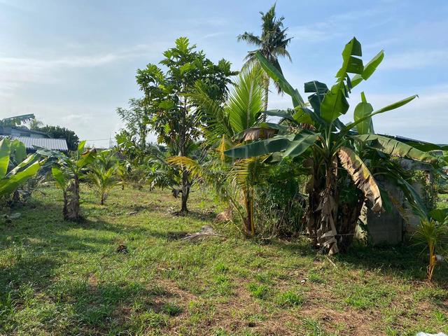 Tanah Di Parit Ahmad, Batu Pahat nego 1
