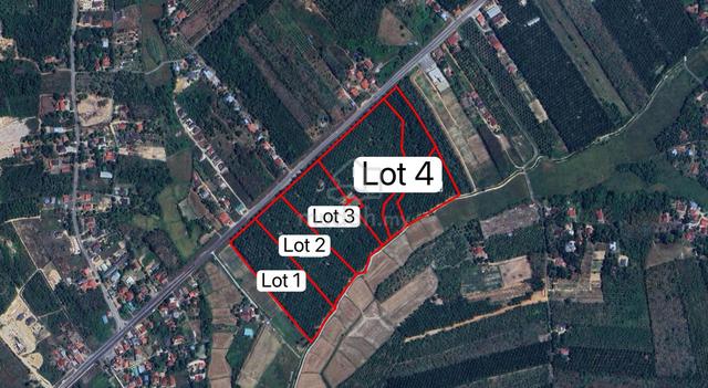 Facing Main Road 45.03 Acre Agriculture Land Pokok Sena Kedah For Sale 1