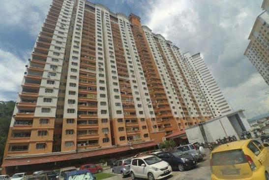 Flora Damansara 1