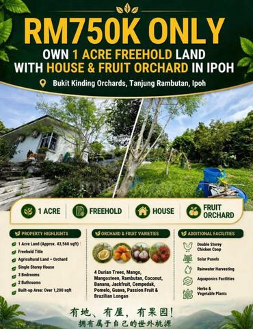 Bukit Kinding, Tanjung Rambutan Orchard Land 1