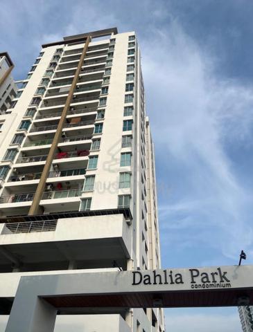 Dahlia Park 1