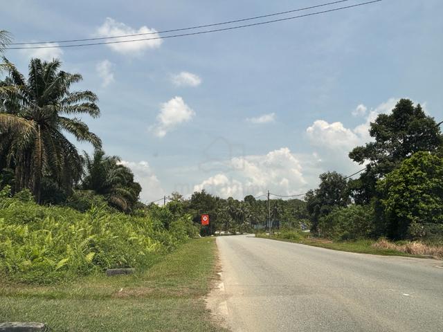 Agricultural Land, Gelang Patah for Sale 4