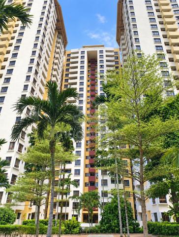 Palm Spring @ Damansara 1
