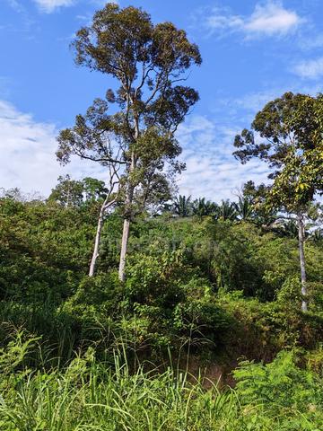 Agriculture Land For Sale - Rantau, Negeri Sembilan 1