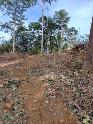 Tanah Rapat Jalan & Siap Clear] 8.74 Ekar Untuk Dijual- Kuala Lipis 1