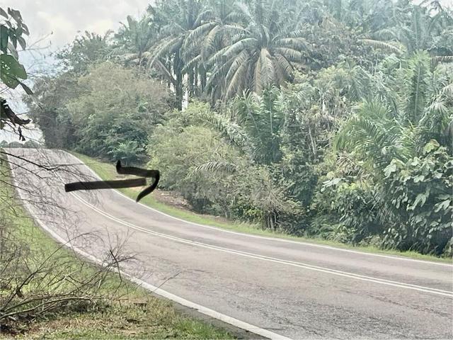 Tanah 7 Ekar tepi jalan utama (International Lot) 5