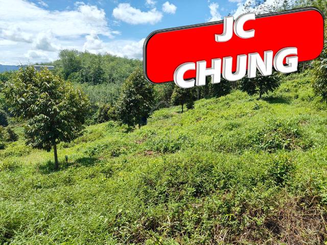 9.9 Acres Durian Land For Sale @ Lenggong , Perak 1