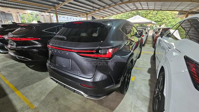 2023 Lexue Nx350 F sport 4.5Grade 31k km - 3