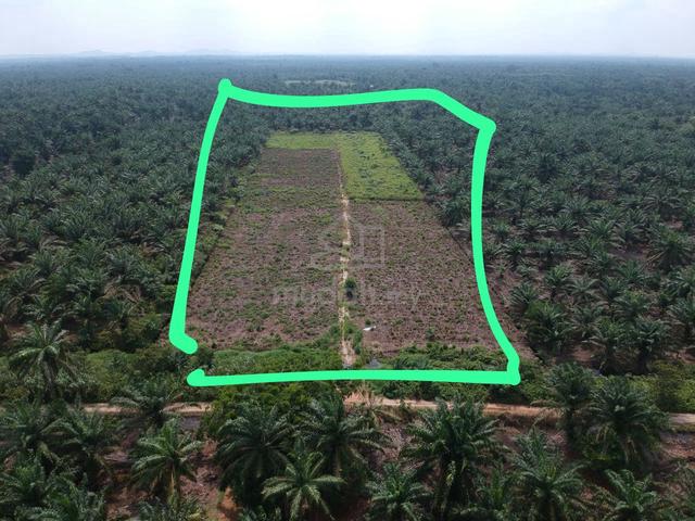 Pekan Nenas Batu 28, lowest price land 4.27acre A 1