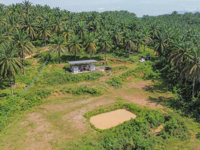 Tanah 3 Ekar di Rembau, Negeri Sembilan 5