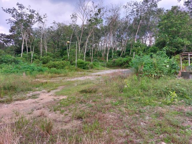 Tanah pertanian Lenggeng Negeri Sembilan 3
