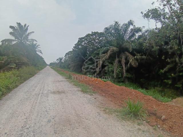 Pontian, JB / Palm Oil Land For Sale / 3.74 Acres / FREEHOLD / Flat 1