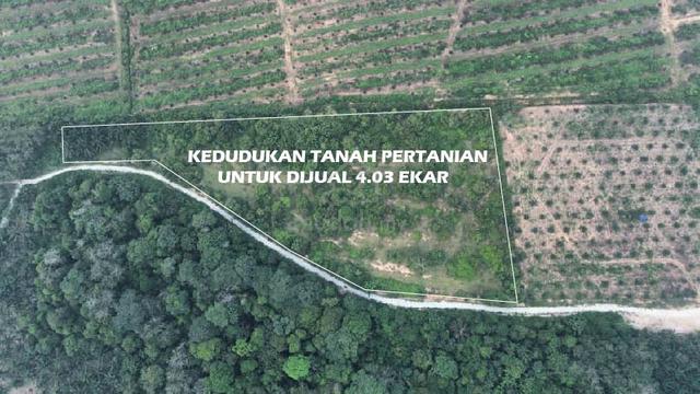 Tanah Pertanian untuk dijual di Kg.Tampin Linggi Port Dickson 1